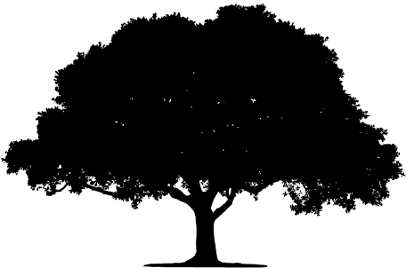 Arboles